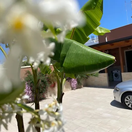 فندق مبيت وإفطار Caramel House & 4*