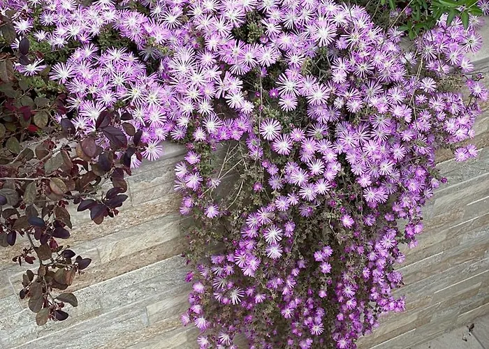 Caramel House & Couette-café