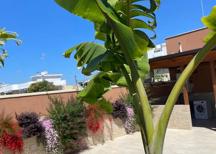 Couette-café Caramel House &