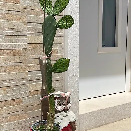 Bed and Breakfast Caramel House &